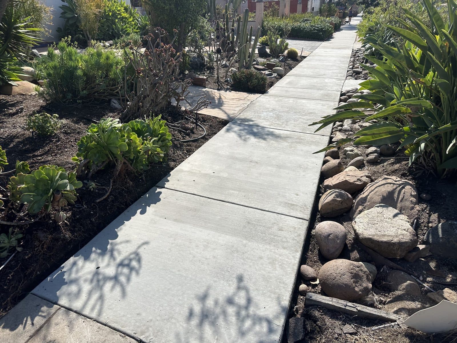 Concrete garden walkway winding past boulders and succulents