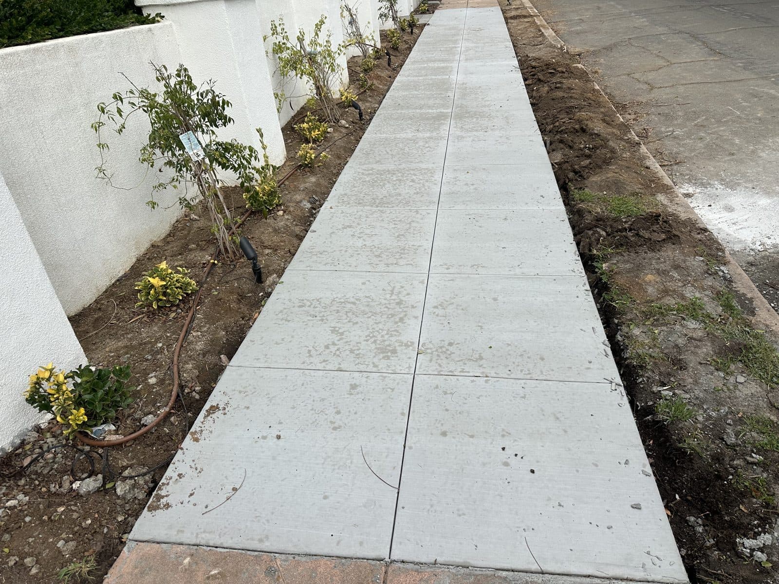 Bright new concrete sidewalk panels between white garden walls