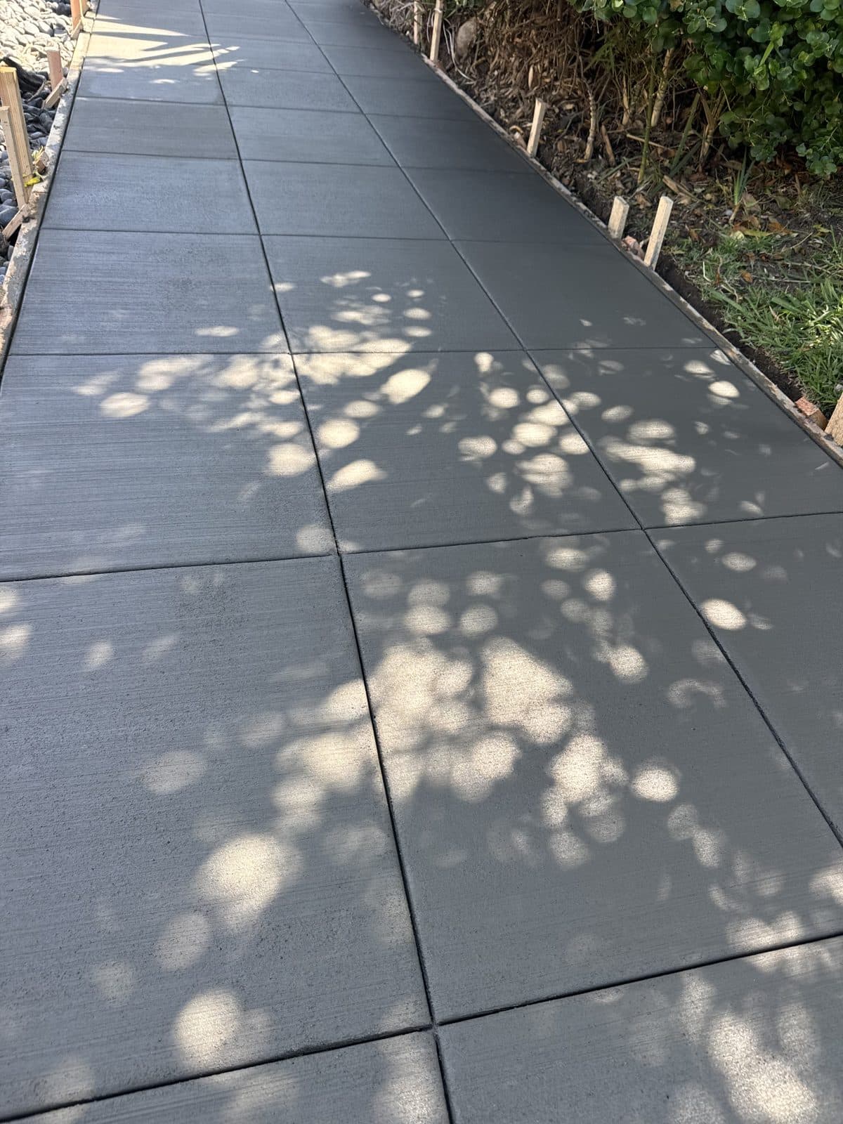 Broom-finished concrete sidewalk in dappled afternoon shade