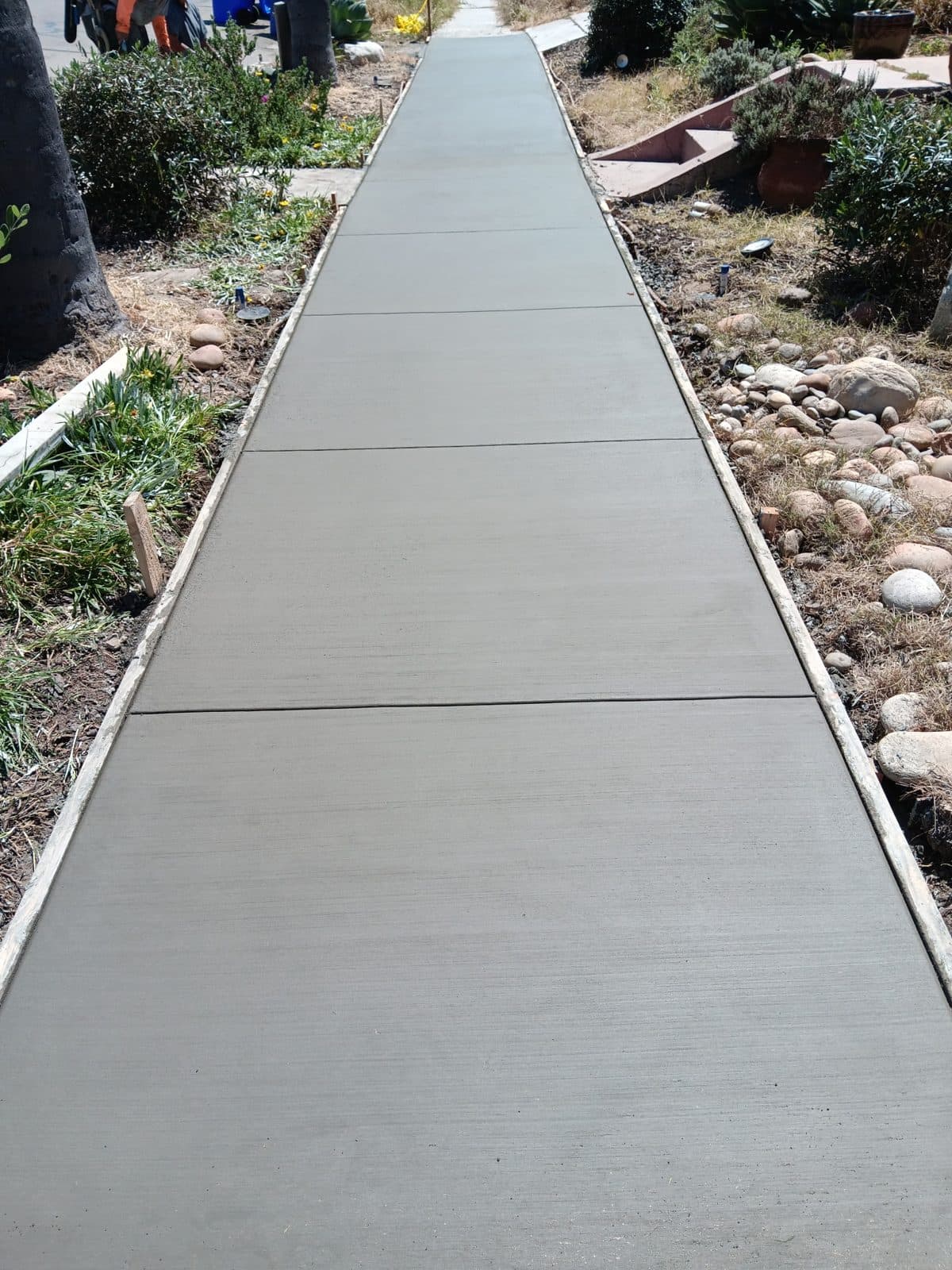 Finished concrete walkway between landscaped garden beds in San Diego