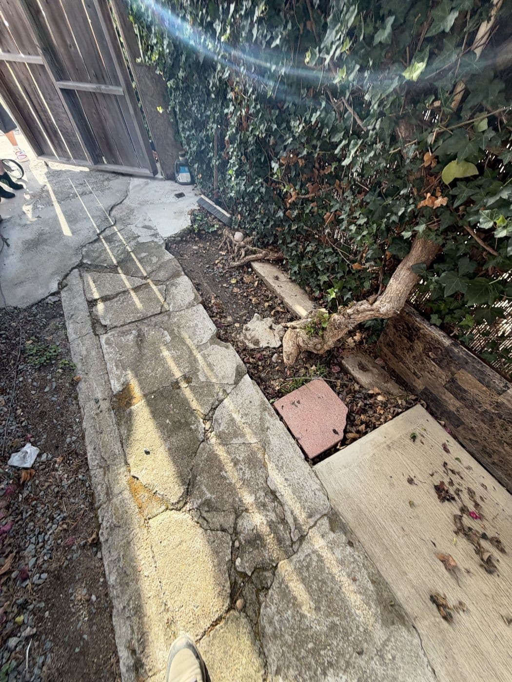 Close up of a cracked walkway with raised edges and a heaved section